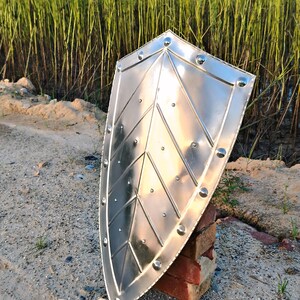 May include: A polished, silver-colored shield with a pointed bottom and rounded top. The shield has a riveted border and a central design of intersecting lines. It is propped up on a stack of red bricks, with a background of tall green plants.