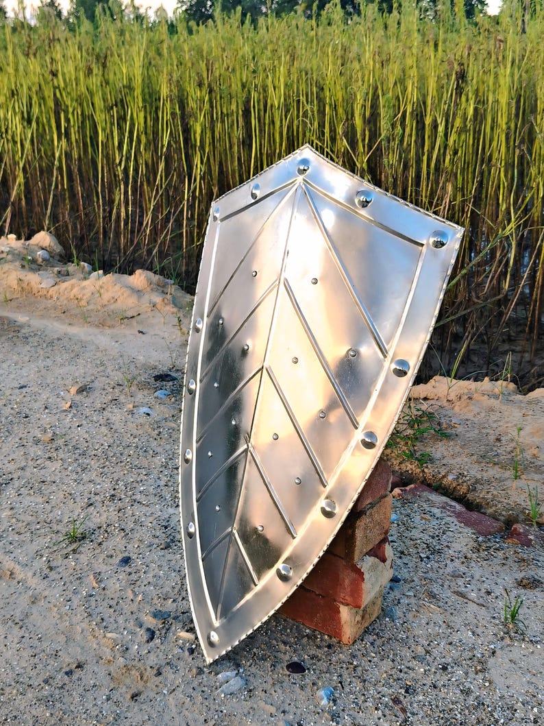 May include: A polished, silver-colored shield with a pointed bottom and rounded top. The shield has a riveted border and a central design of intersecting lines. It is propped up on a stack of red bricks, with a background of tall green plants.