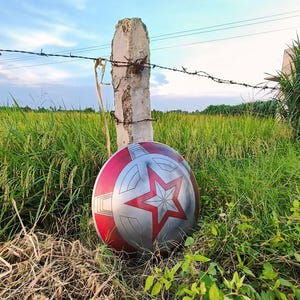 May include: A red, silver, and white shield with a large red star in the centre, resting in tall grass. The shield has a circular design with a red border and a silver centre. A concrete post with barbed wire is behind the shield.