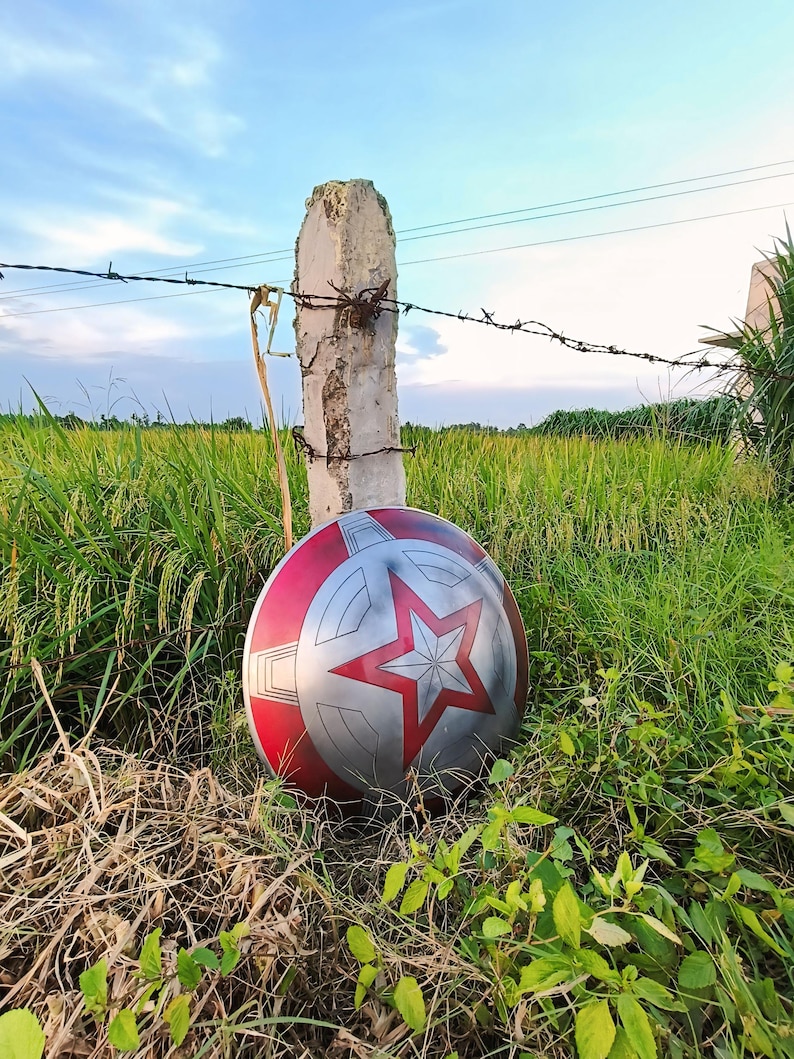 May include: A red, silver, and white shield with a large red star in the centre, resting in tall grass. The shield has a circular design with a red border and a silver centre. A concrete post with barbed wire is behind the shield.