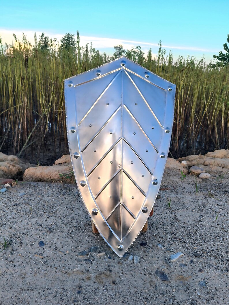May include: A silver-colored shield with a pointed bottom and a series of rivets around the edges. The shield has a chevron design in the center. The background includes tall grass and a blue sky.