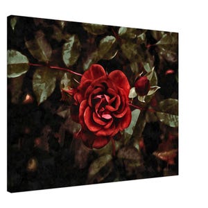 Dark Red Rose Watercolour Canvas | Moody Floral Wall Art | Gothic Romantic Botanical Print on Canvas