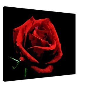 Red Rose Watercolour Canvas | Romantic Floral Wall Art | Minimalist Black Background Botanical Canvas