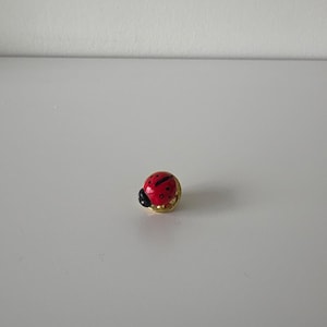 Puede incluir: Un pequeño broche de mariquita con cuerpo rojo, puntos negros y cabeza negra. El broche tiene una base de metal dorado. La mariquita es un diseño clásico de insecto.