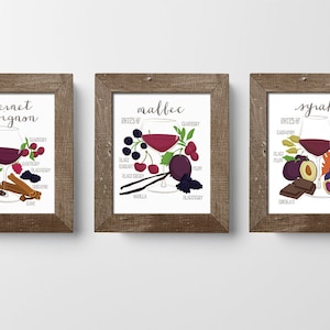 Wine Print Set of 3 // Wine Art Decor // Kitchen Art // Living Room Art // Food Illustration // Gift for Wine Lover