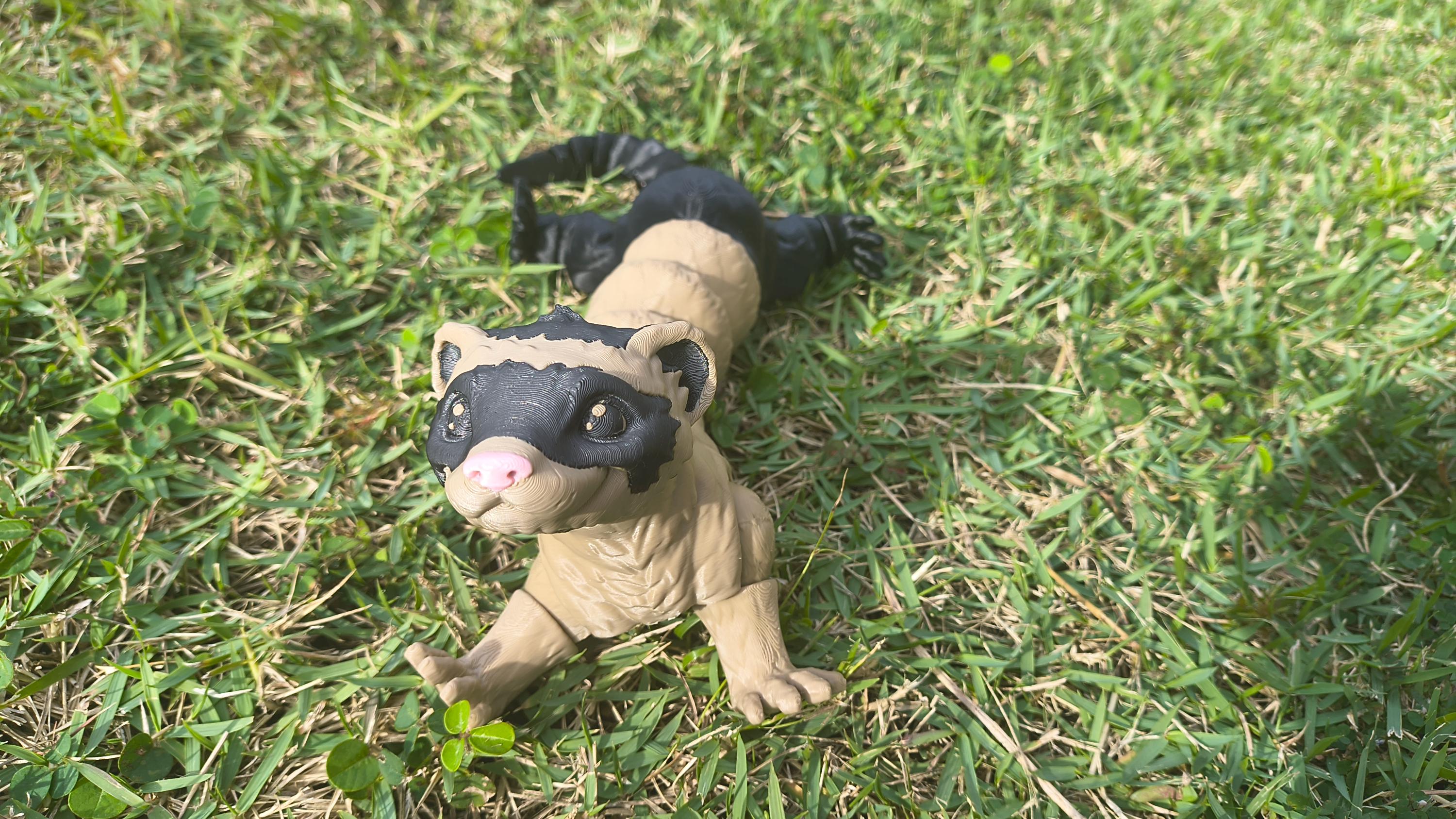 3D Printed Toy- Articulated Ferret Figurine, Animal Lover Gift, Ferret ...