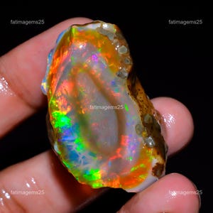 May include: A raw, unpolished opal gemstone featuring a vibrant play-of-color with flashes of neon green, orange, and red against a translucent, milky white base. The stone has an irregular, organic shape with rough, textured brown edges.
