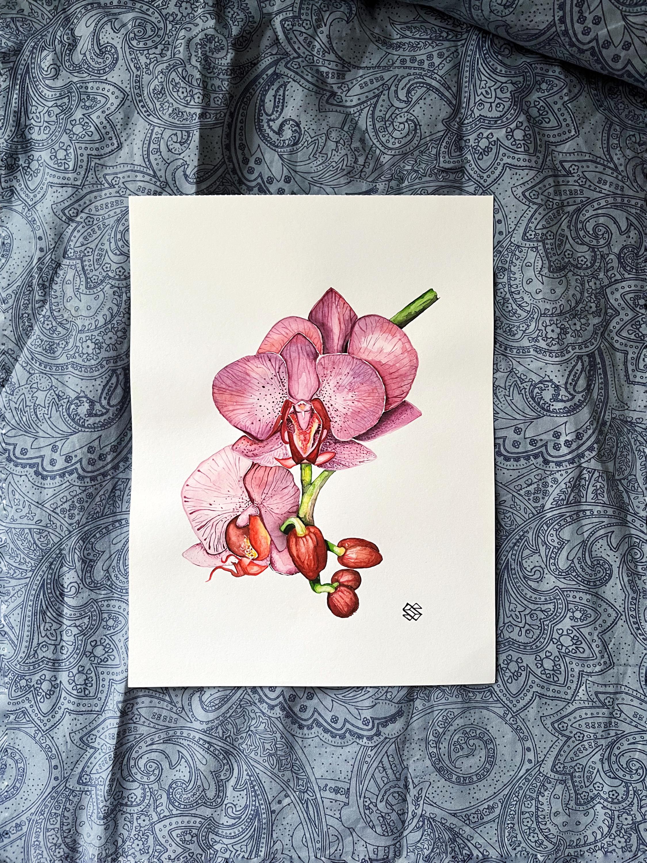 蘭の水彩画 A4 - ボタニカルフローラルアート - Etsy 日本