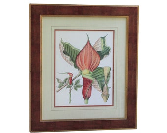 Botanical Fantasy 1 Art Illustration Wall Framed Matted Orange Green Vintage Print