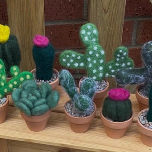 May include: A selection of handmade felt cacti in small terracotta pots. The cacti are various shapes and colours, some with yellow or pink flower accents. The pots are filled with small pebbles.
