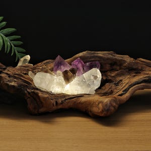 May include: A natural piece of dark brown driftwood with a hollow centre containing a cluster of clear quartz and purple amethyst crystals. The crystals are illuminated from within, casting a soft light against the textured, weathered wood grain.