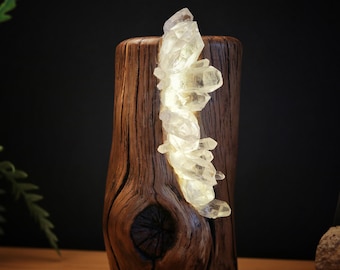 Handmade Olive Wood Crystal Lamp | Clear Quartz LED Boho Decor