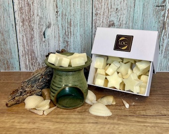 Fundidor de cera de cerámica hecho a mano, pastillas de cera aromáticas, sets de regalo con caja para fundir la cera