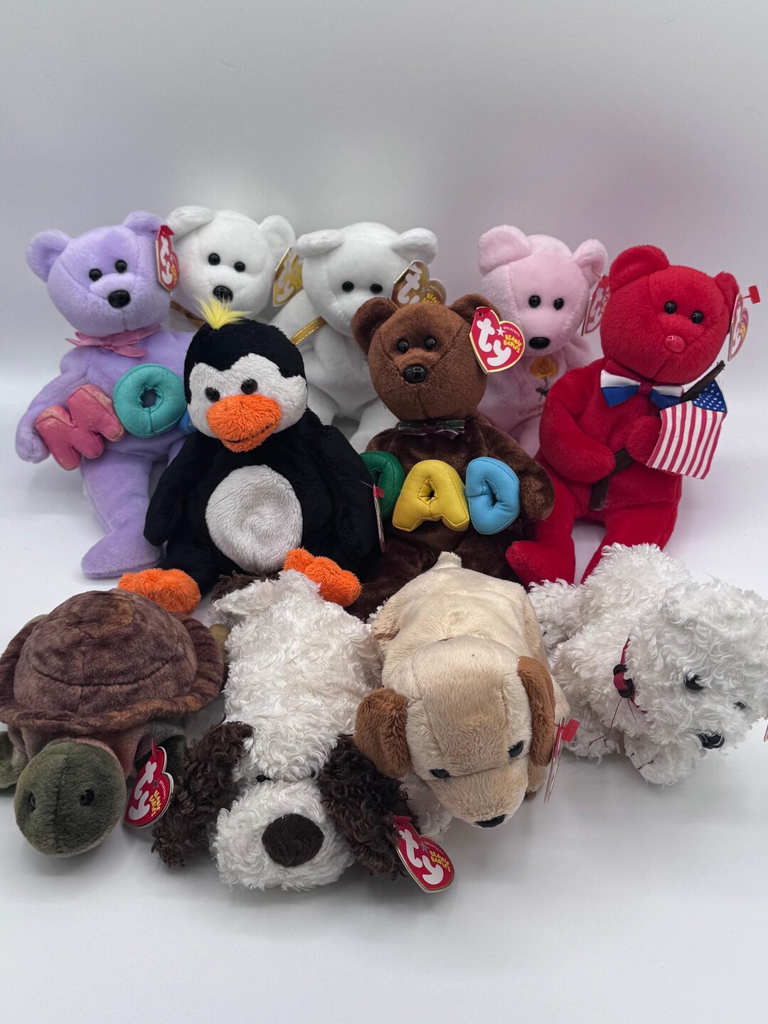 Beanie Babies TY Hang Tag 13th Gen & Tush Tag