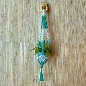 May include: A macrame plant hanger in teal and white, suspended from a wooden ring. The hanger holds a small, light-colored pot with green plants. The background is a textured, neutral-toned wall.