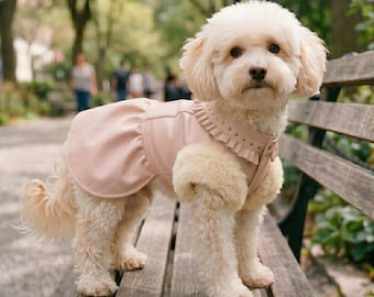 Dog Leather Pink Dress | Stylish Cute Pet Outfit | Puppy Leather Skirt