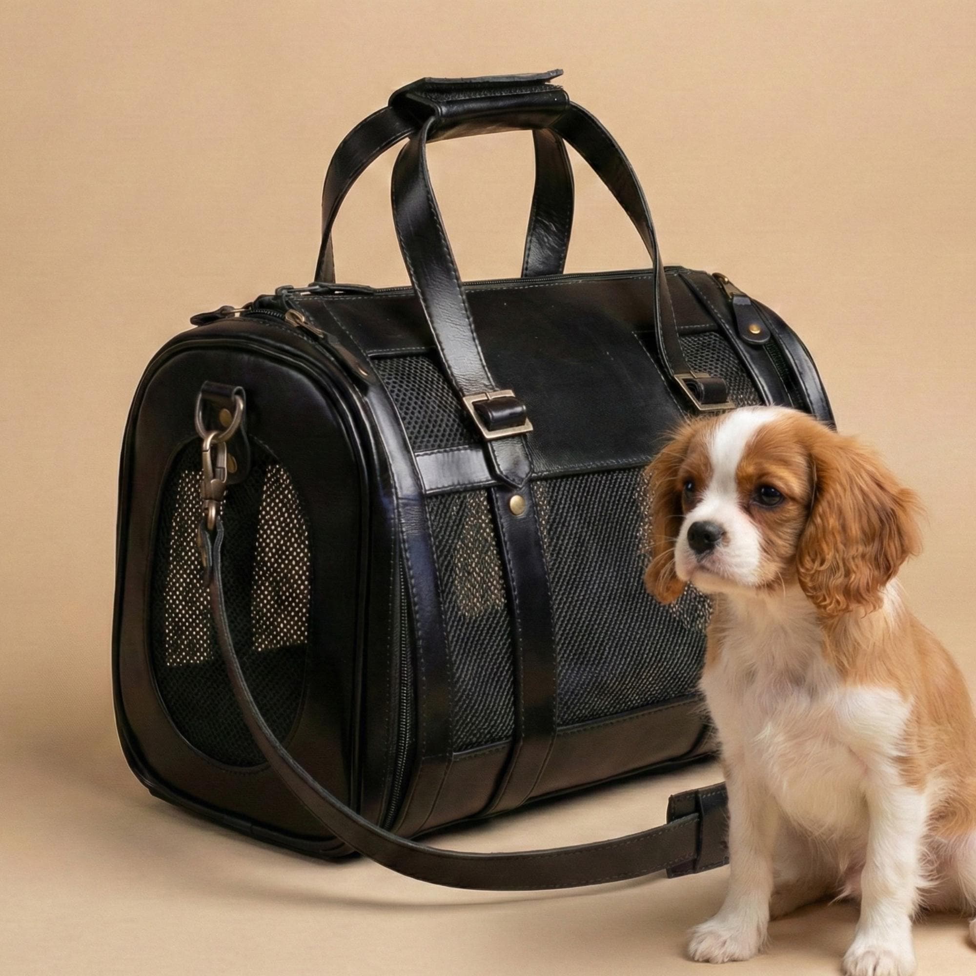 Louis vuitton dog carrier - Etsy 日本