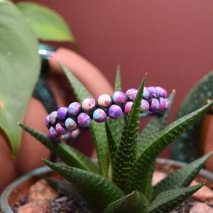 May include: A double-strand bracelet with colorful, speckled beads in shades of purple, blue, and pink. The bracelet is displayed on a green succulent plant, with other potted plants in the background. The beads are approximately 0.5 inches in diameter.