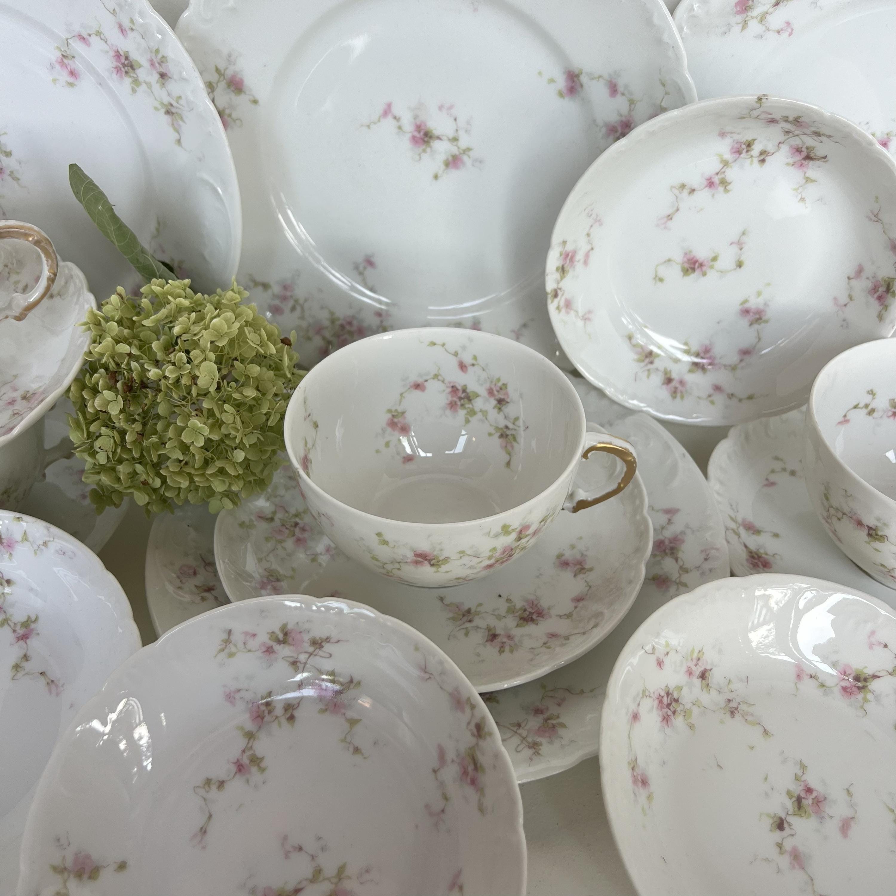 Limoges HAVILAND　(仏)ハンドペイントプレート　2枚 Limoges HAVILAND(仏)ハンドペイントプレート2枚
