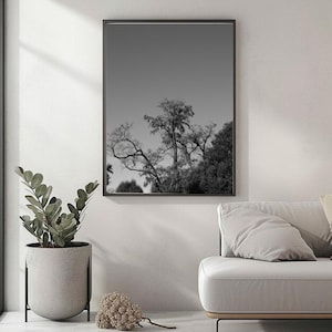 The Lonely Tree – Greyscale Nature Photography Print