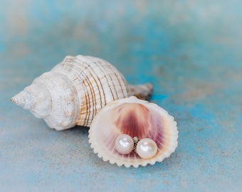 Pearl Studs | White Pearl Earrings Studs | Ivory fresh water pearls 8mm and 925 sterling silver |Bridal jewellery | Wedding Earrings