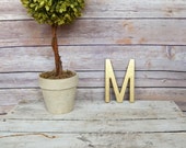 Cast Iron Metal Letter wall art decor vintage style You Pick Alphabet Initial Monogram Painted Gold