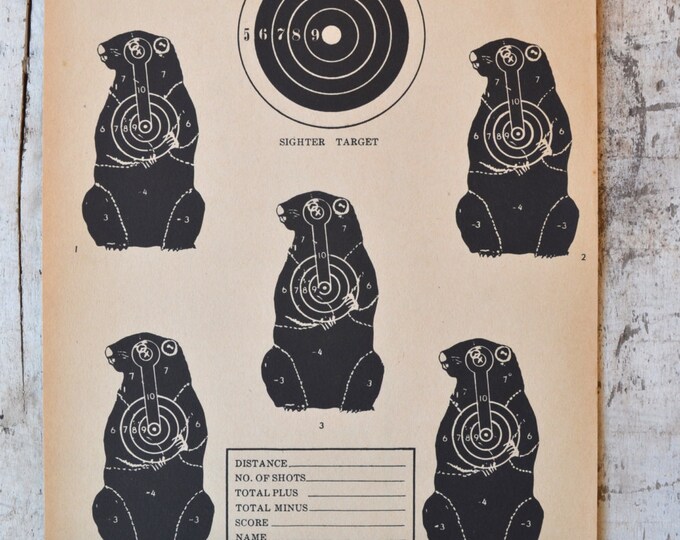 Vintage Winchester Western Groundhog Woodchuck Target Shooting - Etsy