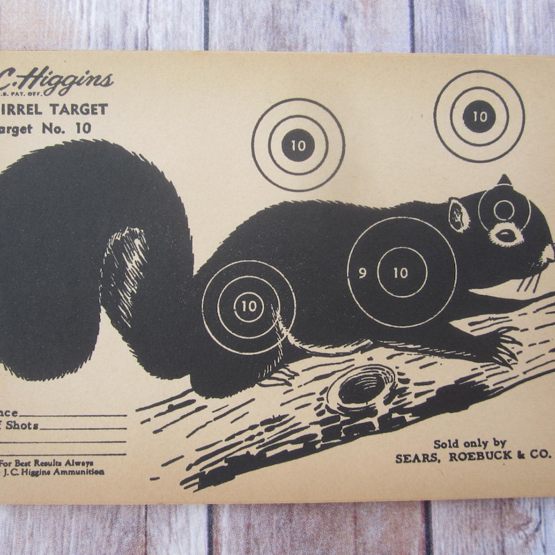 Squirrel Targets - Etsy