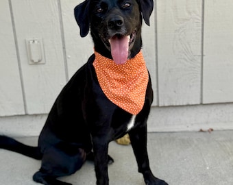 Höstprickig Scrunchie Hundbandana