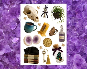 May include: A collection of mystical items including a skull, a black cat on books, a candle, a frog, a potion bottle, a key, and a mug. The items are arranged on a white background with a purple crystal border.