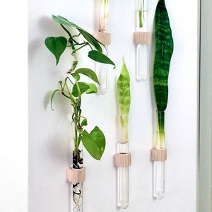 INDOOR HOLZ PFLANZEN, hängende Pflanzer Holz für Wand, Indoor Wandbehang Vase, Wanddekor mit Pflanzen, Innendekoration, Indoor Pflanzer