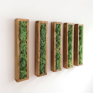 Op de afbeelding: Vier rechthoekige houten frames met geconserveerd groen mos erin, gemonteerd op een witte muur.