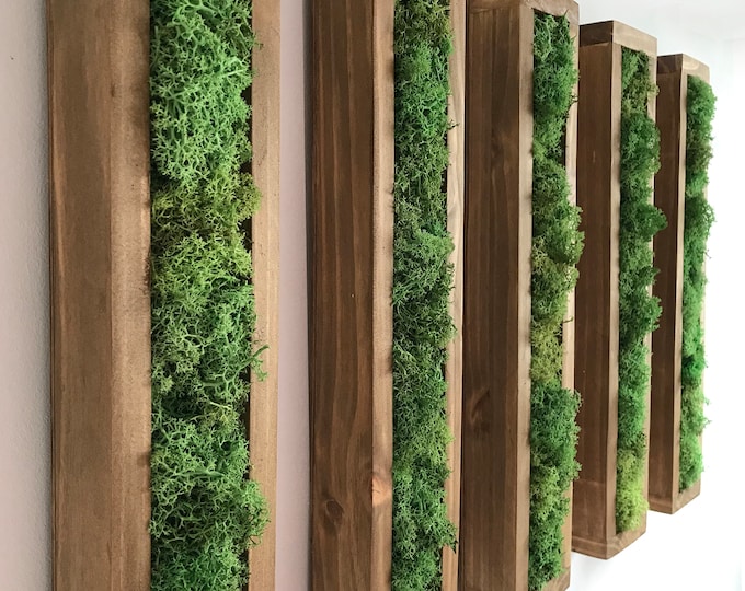 Preserved Moss Wall Art: Wooden Frame, Living Green Decor (12x54 CM)