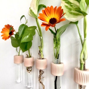 Wall plant holder, Wall cutting holder, Sustainable plant holder, 3D printed plant holder, Eco-friendly plant holder, Indoor plant holder