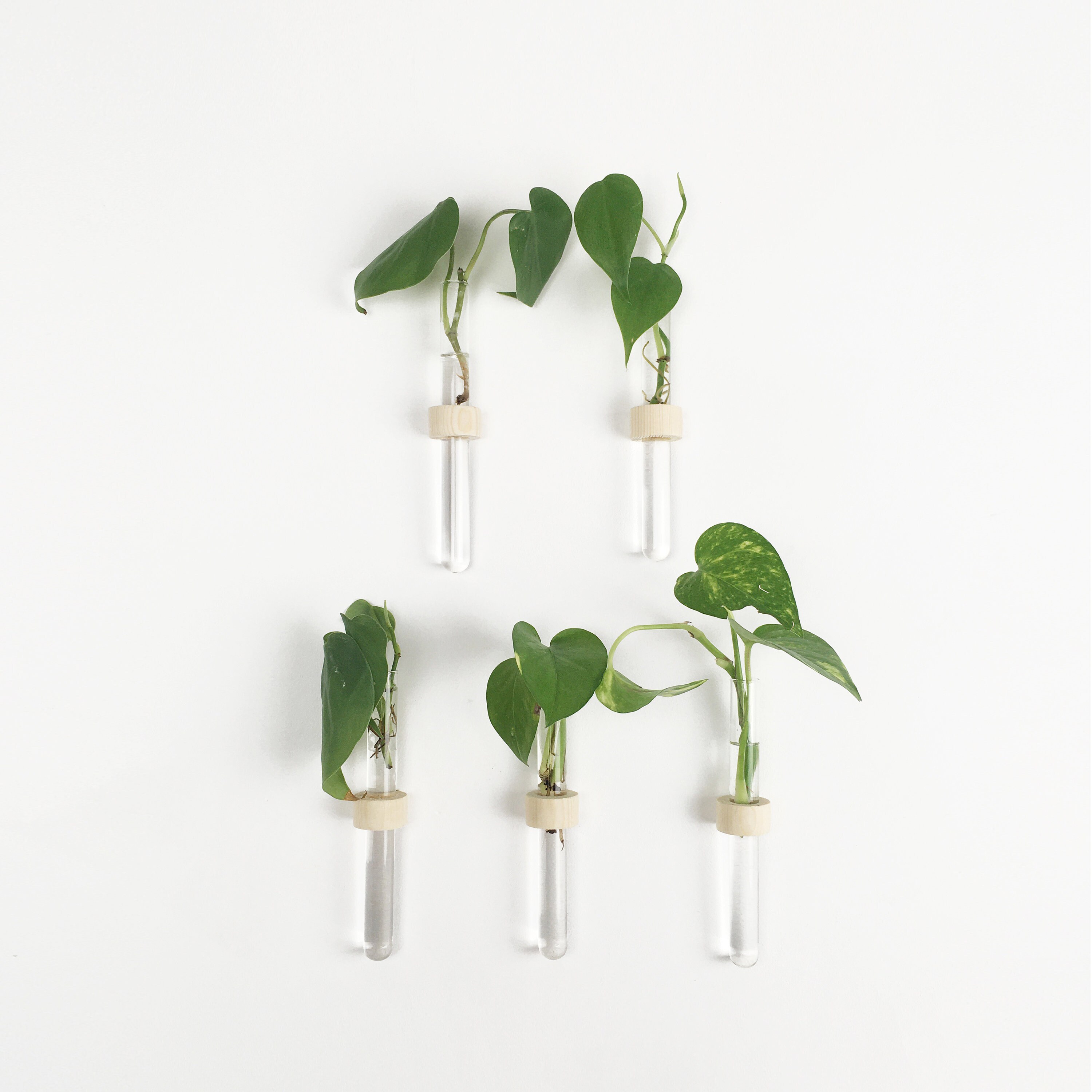 Home Décor Vases Home & Living long centerpiece window planter Plant