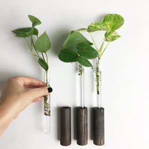 Wandbehang Wohnzimmer mit Pflanzen, 3er Set Holzhängeampeln, Botanische Holzwandkunst, Erntedankgeschenk, Pflanzenliebhaber