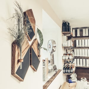 May include: Three wooden wall shelves with black painted fronts. The shelves are in a geometric shape and are mounted on a white wall. A potted plant is on the top shelf.