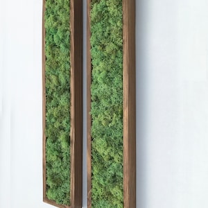 May include: Two rectangular wooden frames containing preserved green moss. The frames are mounted on a white wall.