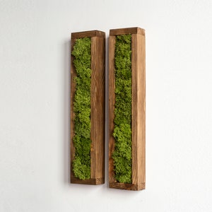 Peut inclure: Deux cadres en bois rectangulaires avec de la mousse verte à l'intérieur. Les cadres sont fixés à un mur blanc.