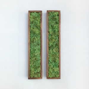 May include: Two rectangular wooden frames with preserved green moss inside. The frames are mounted on a white wall.