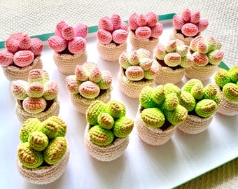 Handmade Crochet Potted Succulent, Everlasting Greenery Decor