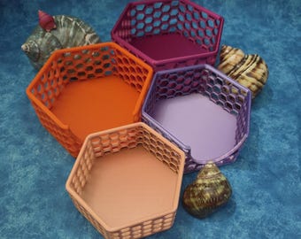 Hermit Crab Foraging Pit