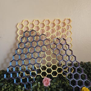 Hermit Crab Honeycomb Climbing Wall