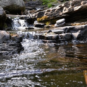 Stone and Flow – Forest Stream Print | Nature Photography