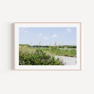 Tigertail Beach Print: Coastal Dune Grass Photography, Marco Island