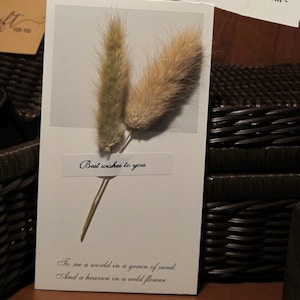 Peut inclure: Une carte de v&oelig;ux blanche avec deux tiges de Lagurus s&eacute;ch&eacute;es. La carte porte l'inscription "Best wishes to you" et une citation sur la vision du monde. Trois grains de caf&eacute; sont en bas. Une note dit "Free greeting card with Real Dried Lagurus."
