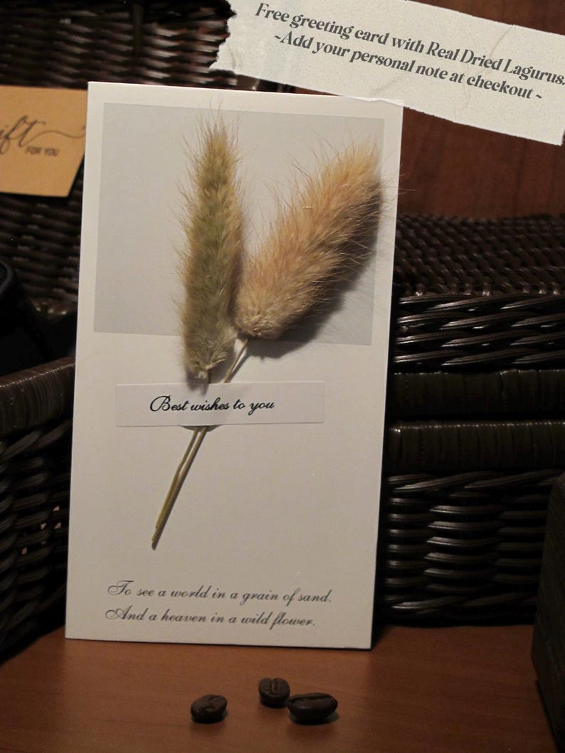 Peut inclure: Une carte de v&oelig;ux blanche avec deux tiges de Lagurus s&eacute;ch&eacute;es. La carte porte l'inscription "Best wishes to you" et une citation sur la vision du monde. Trois grains de caf&eacute; sont en bas. Une note dit "Free greeting card with Real Dried Lagurus."