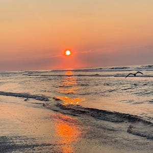 Golden Sunrise over Tranquil Beach  - Photography Printable Wall Art
