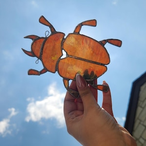 Stained Glass Beetle