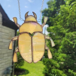 Stained Glass Beetle